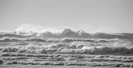 The Pacific Surf in Black and White