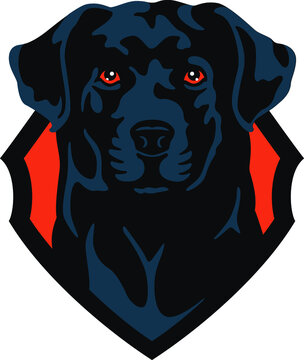 Black Labrador Retriever Dog with a Shield in the background