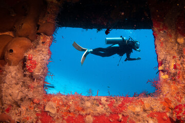 watching a diver from the window of a sunken ship