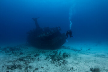 two divers amazed by a shipwreck - obrazy, fototapety, plakaty