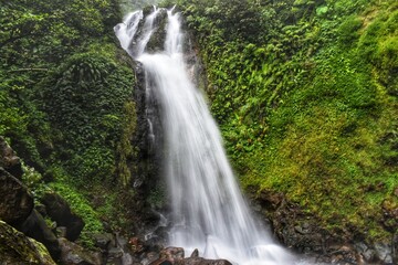 Fototapeta premium waterfall in the jungle