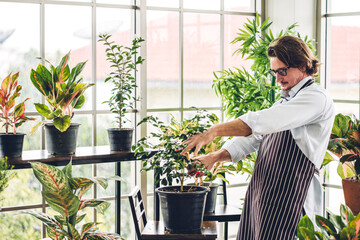 Happy gardener senior old eldery man looking at young plant watering and gardening with potted...