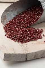 Red bean in a steel grain scoop, selective focus.