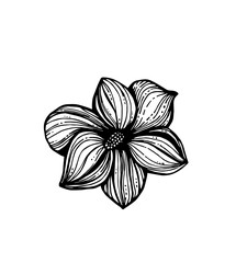 Black and white illustration, graphic flower, lily