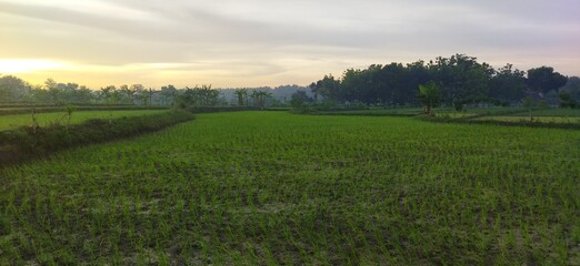 beautiful scenery describes a happy mood