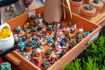 mini cactus in a small pot.