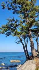 The sea in front of Namae Port