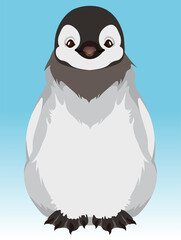 ペンギンの子　正面