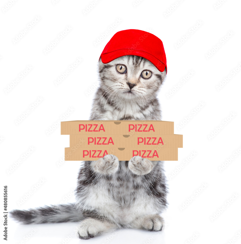 Poster pizza delivery cat wearing red cap with pizza boxes. isolated on white background