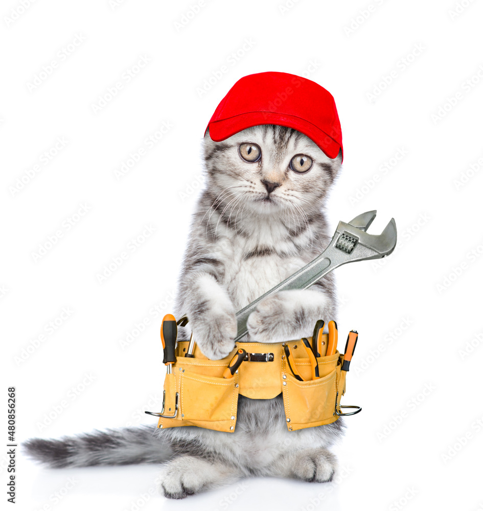 Aufkleber funny cat worker wearing red cap and toolbelt holds adjustable wrench. isolated on white background