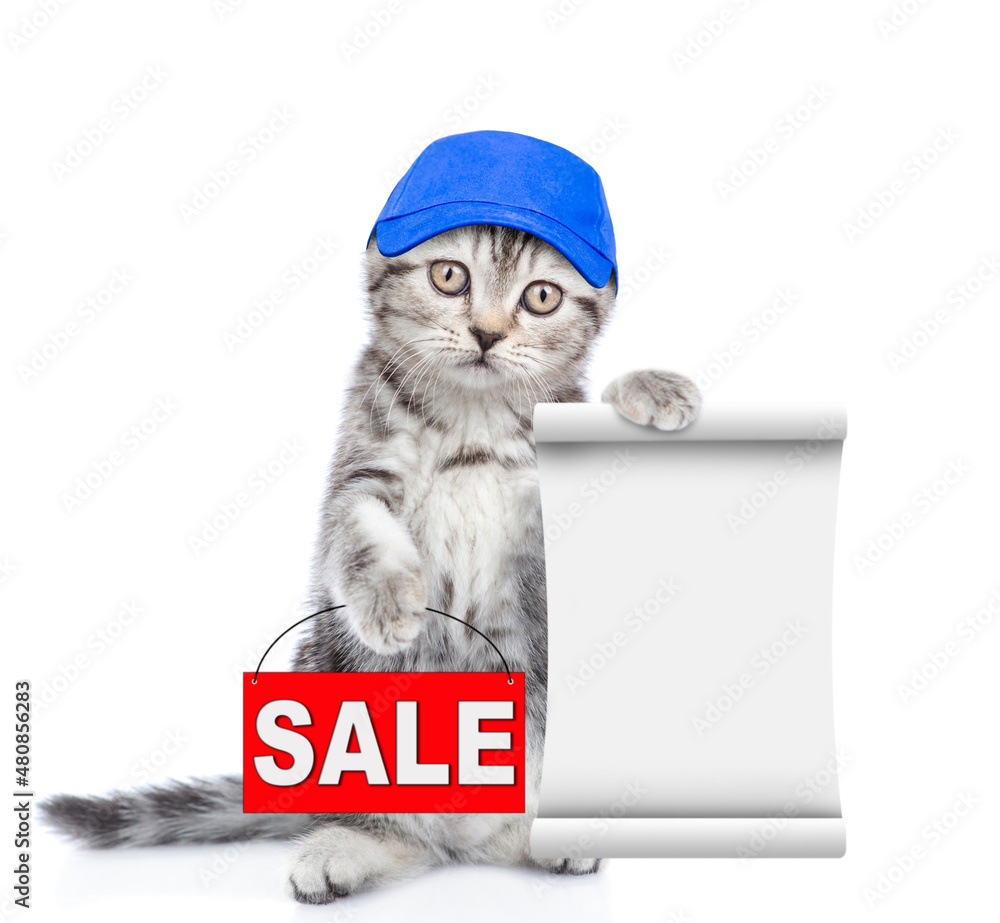 Poster cute kitten wearing blue cap shows sales symbol and empty list. isolated on white background