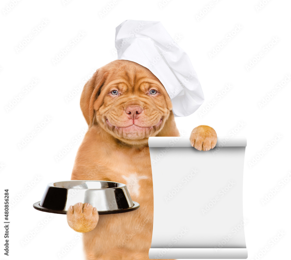 Poster Smiling puppy wearing a chef's cap holds empty bowl and empty bowl. isolated on white background