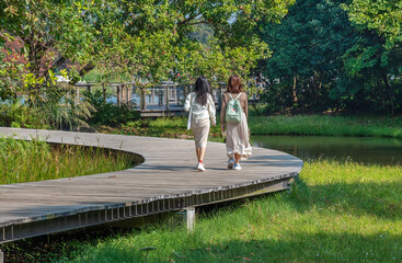 Tourist walking on wooden trail in Hong Kong wetland park - obrazy, fototapety, plakaty
