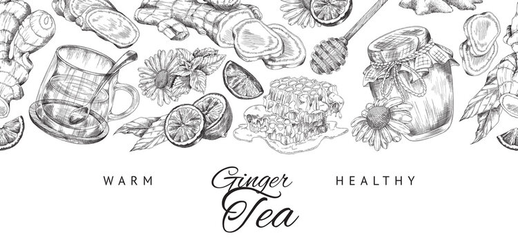 Ginger tea hand drawn vintage style background, engraving vector illustration.