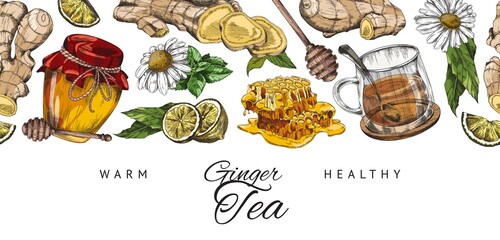 Ginger tea seamless banner with honey, mint leaves and chamomile flowers, sketch vector illustration on white.