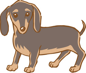 立っているミニチュアダックスフンドのイメージイラスト（手描き）