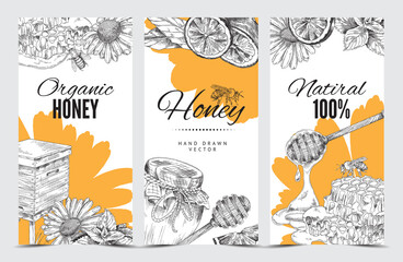 Bee honey banners or vertical flyers templates sketch vector illustration.
