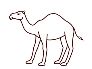 Vector camel in outline style, coloring page for children, illustration of dromedary camel, line art drawing