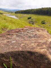 dam and forest in the view of the rock 