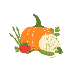 Vegetables and herbs composition on a white background. Vector flat illustration with pumpkin, cabbage, tomato, peas, cucumber, asparagus, broccoli