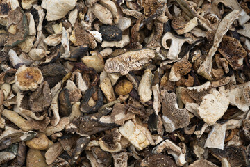 Close-up of a pile of dried forest mushrooms for cooking.