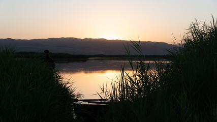 fishing vacation on the lake. lake and reeds
