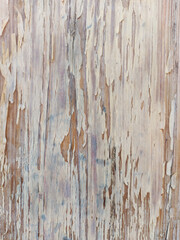 Close-up of a wooden floor where the paint layer is peeling and cracking with ivory patterns.