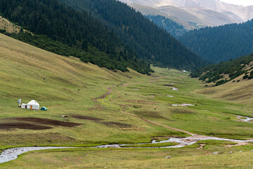 Endless steppe in the valley at the foot of the mountains, bathed in bright sunlight. Amazing view on  green mountains. mountain, covered with green trees, under a blue sky with clouds.