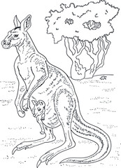 childrens coloring book, kangaroo with cub
