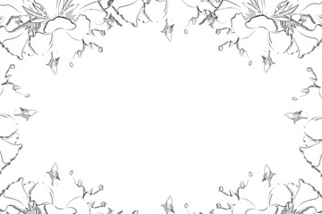 Vector horizontal frame with white contour flowers for design greeting cards, wedding invitation