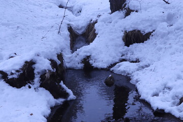 a stream in the woods over which snow fell
