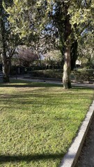 Naturaleza en directo