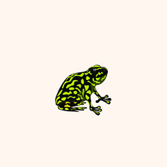 Bright false toad. Australian reptile. Vector illustration isolated on white background.