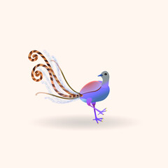 Lyrebird, from Latin. Menura. Australian wild bird. Vector illustration.