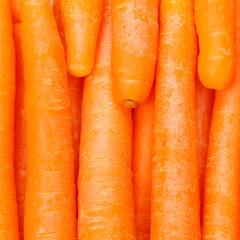 Carrots carrot background vegetable vegetables from above square