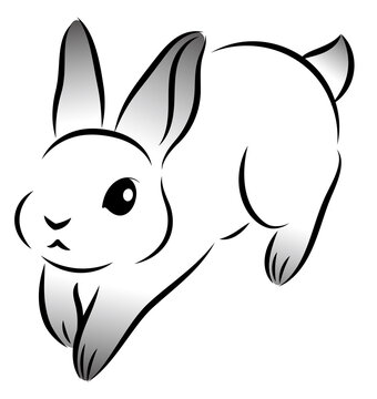 Rabbit Jumping Drawing Images Browse 4 585 Stock Photos Vectors And Video Adobe Stock