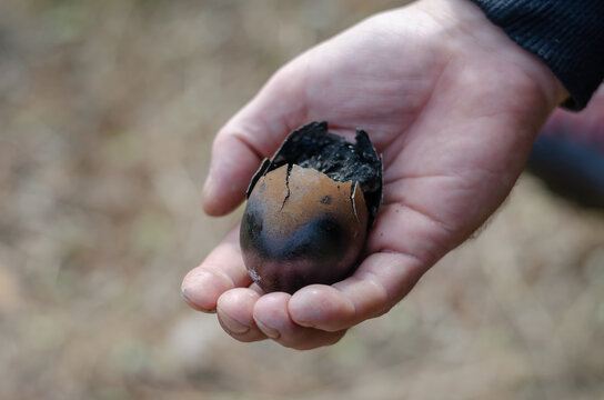 A burnt chicken egg in the hands of a man.