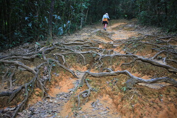 asian girl have a healthy lifestyle and trekking in the country park at hong kong