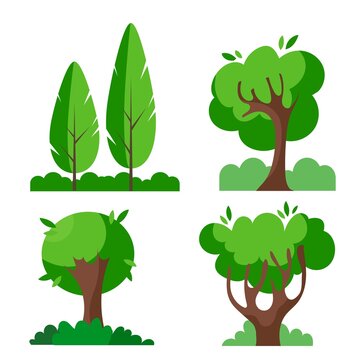 A group of trees of various shapes. Vector illustration in cartoon style.