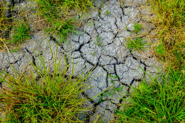 Dry soil with cracks and grass