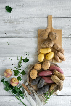 Studio shot of different varieties of raw potatoes