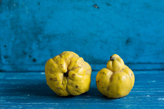 Studio shot of two ripe quinces lying on blue wooden surface