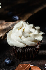 Chocolate cupcakes with blueberries on a dark table