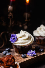 Chocolate cupcakes with blueberries on a dark table