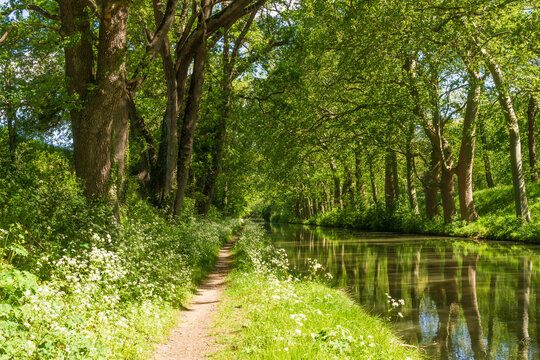 Le Canal du Midi au Seuil de Naurouze