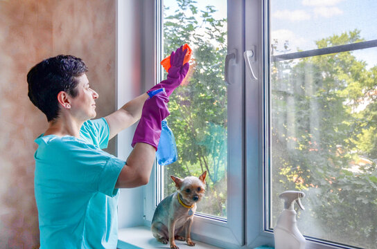 Woman With Rubber Gloves Washes Window, Holding Window Cleaning Spray In Hands. Cleaning Services