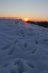 sunset in the snow