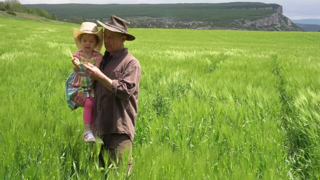Family Organic Wheat Farming Business. Adult farmer father with happy daughter in his arms inspects a wheat field. Growing with the Grain.