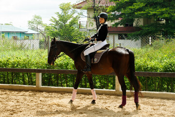 Young 20s Asian woman in horse riding suit with beautiful animal outdoors. Female ride tall smart