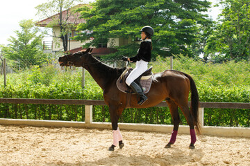 Young 20s Asian woman in horse riding suit with beautiful animal outdoors. Female ride tall smart